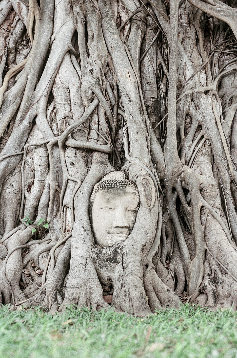 アユタヤ建都