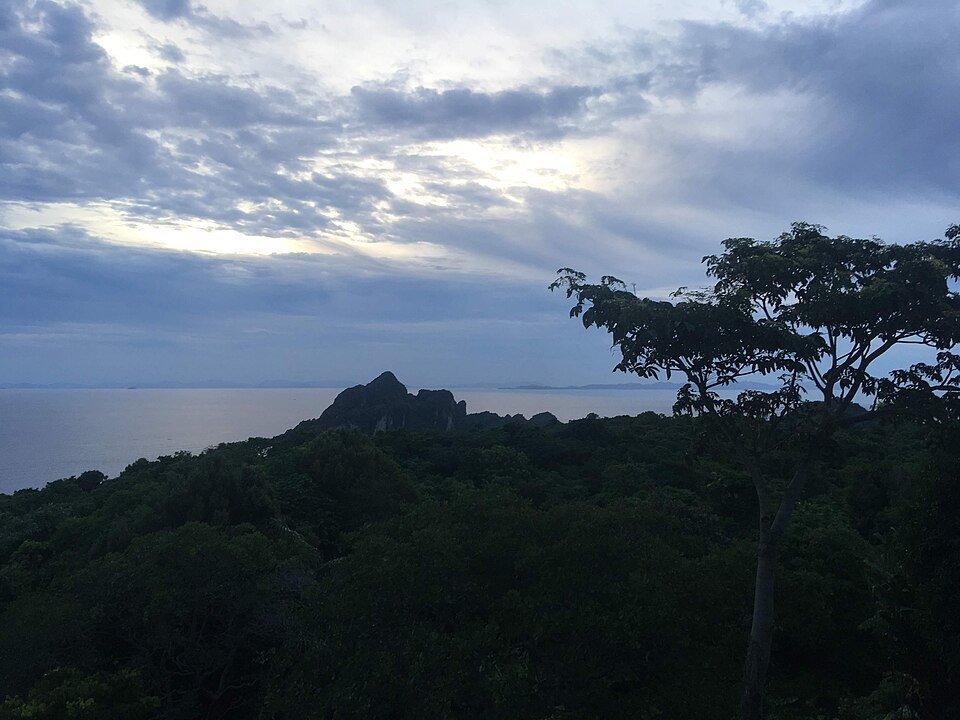 ピピ島