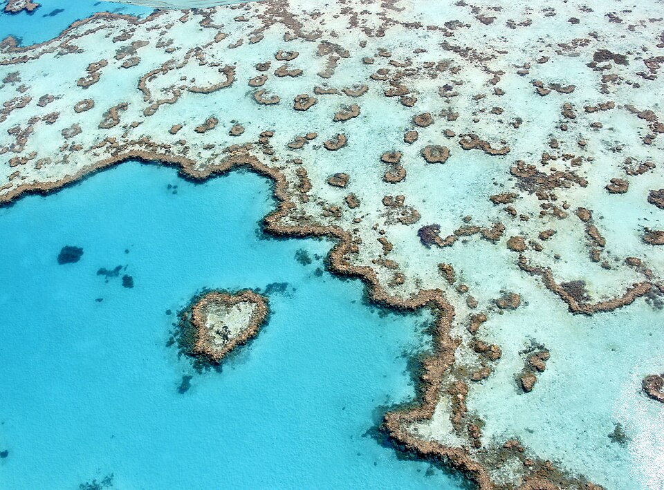 Heart Reef