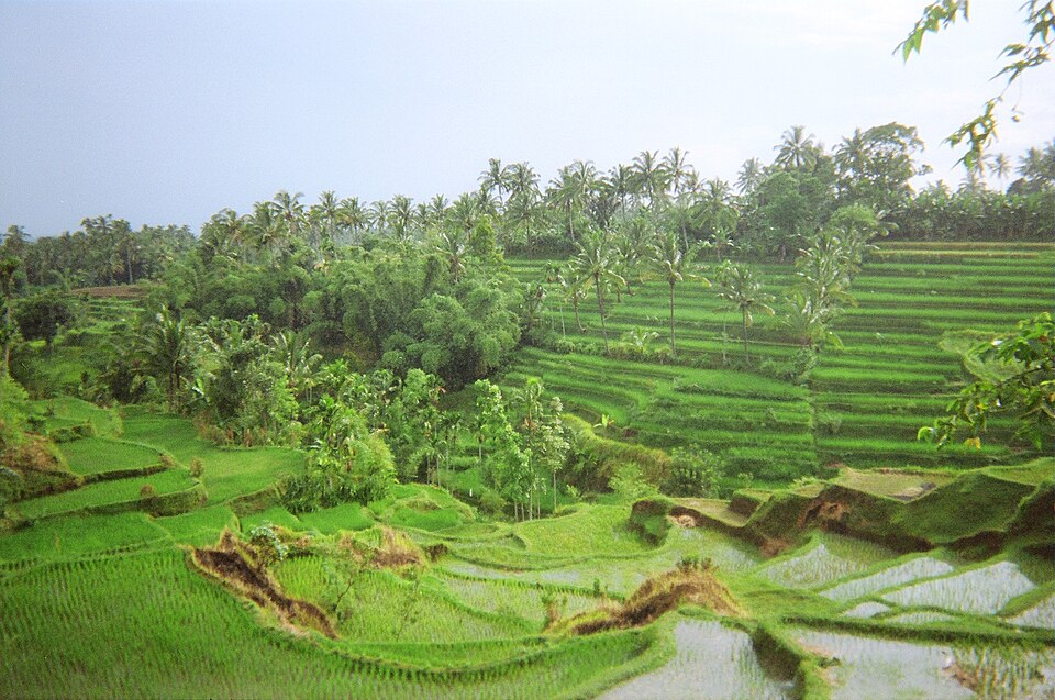 Tetebatu
